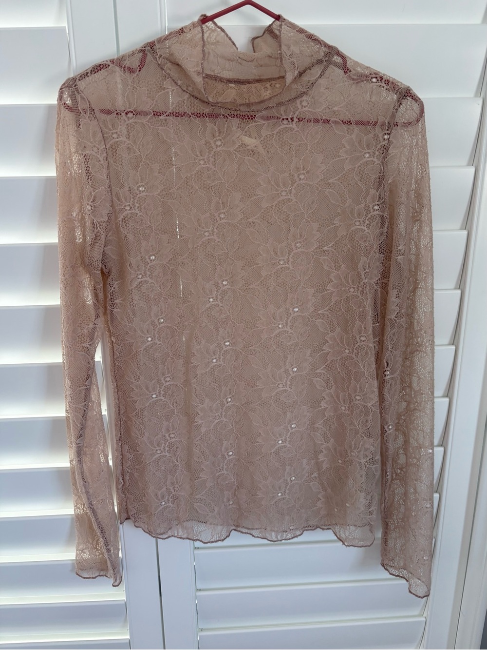 Anthropologie Sheer Lace Long-Sleeve Top in Beige Blush